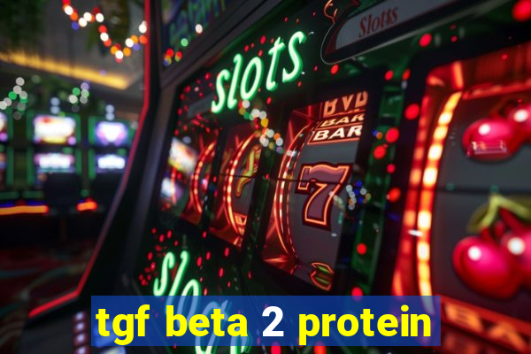 tgf beta 2 protein